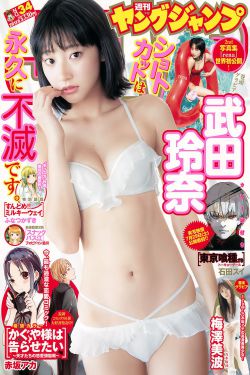 尘埃落定电视剧